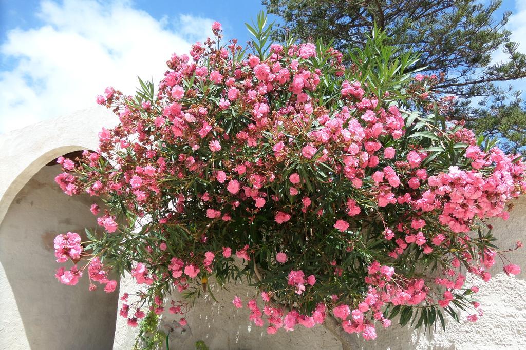 Baglio Bellavista Bed & Breakfast Torre Nubia Exterior foto