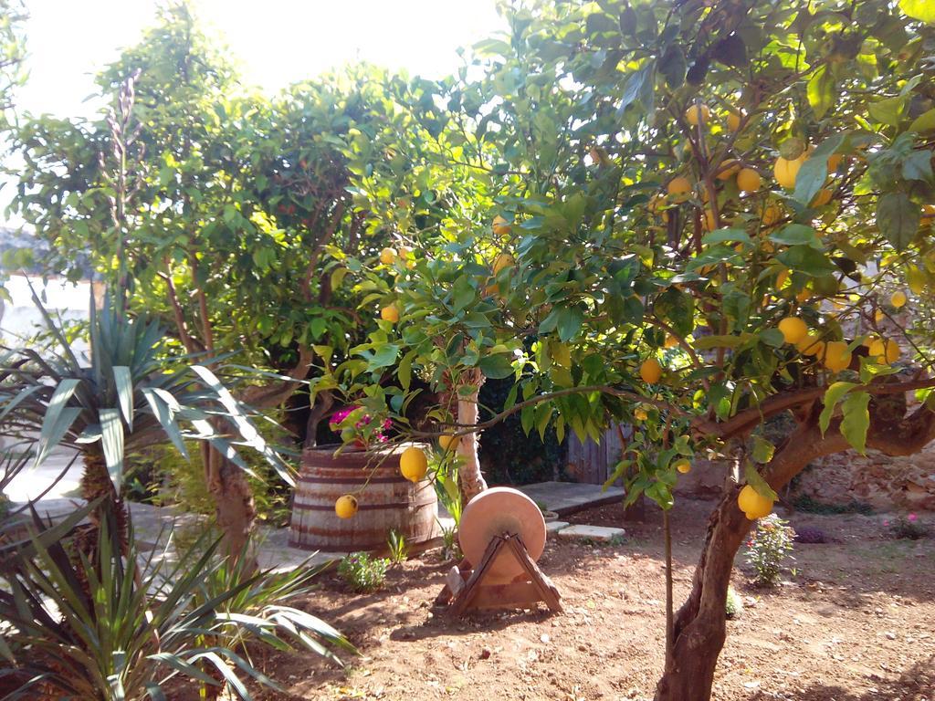 Baglio Bellavista Bed & Breakfast Torre Nubia Exterior foto